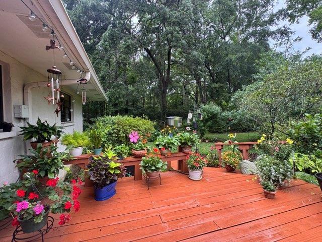 412 Northwest 46th Street Gainesville, FL 32607 - Photo 55 of 57