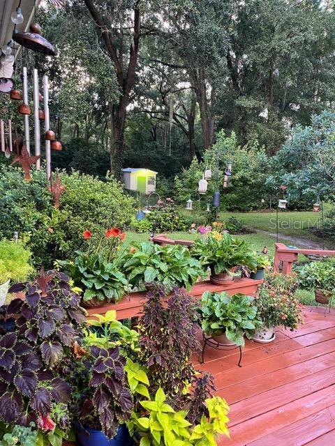 412 Northwest 46th Street Gainesville, FL 32607 - Photo 56 of 57