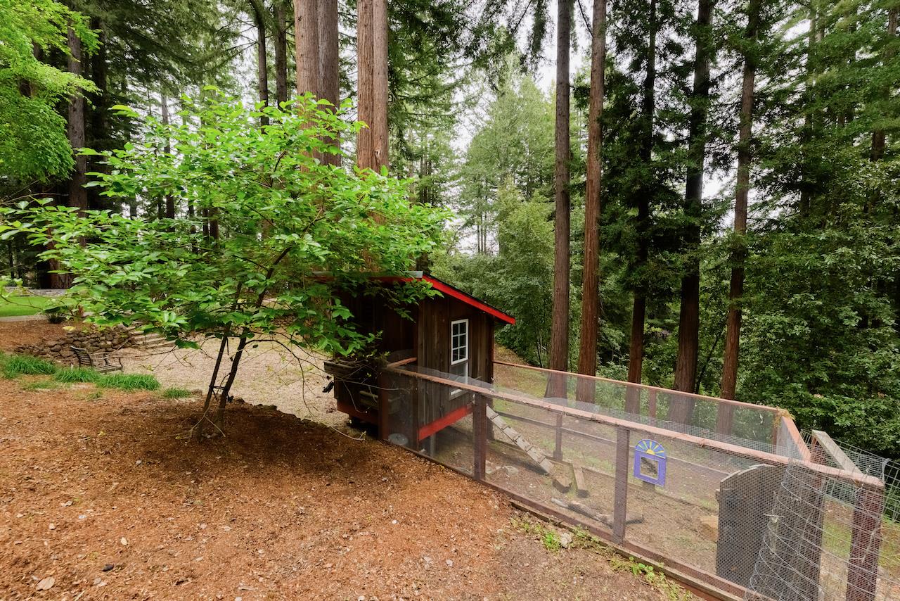 295 Jim's Road Ben Lomond, CA 95005 - Photo 114 of 139