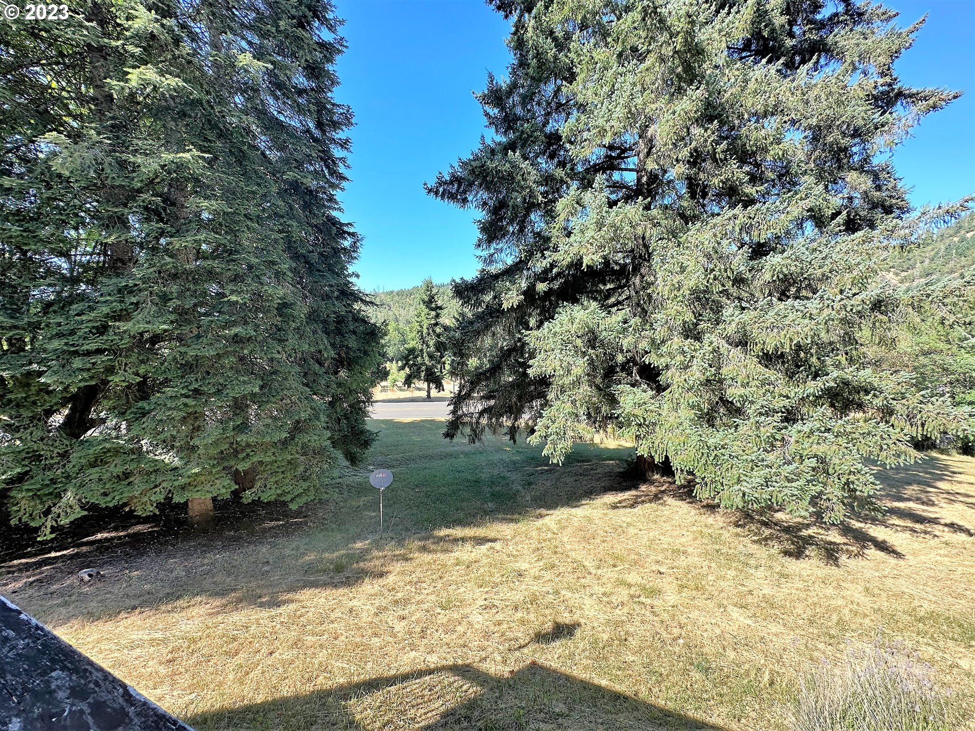 3153 Strickland Canyon Road Roseburg, OR 97471 - Photo 24 of 31 a view of a yard with trees