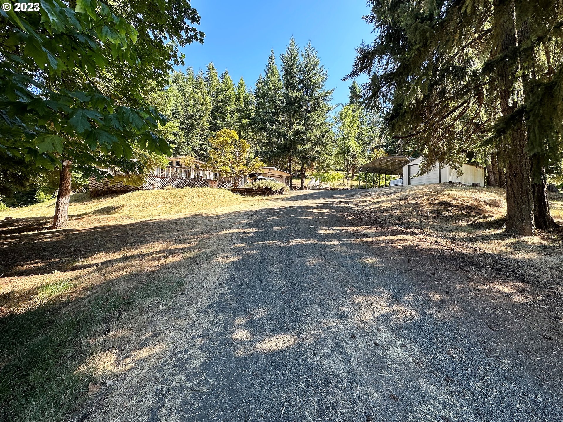 3153 Strickland Canyon Road Roseburg, OR 97471 - Photo 25 of 31 a view of a yard with a tree