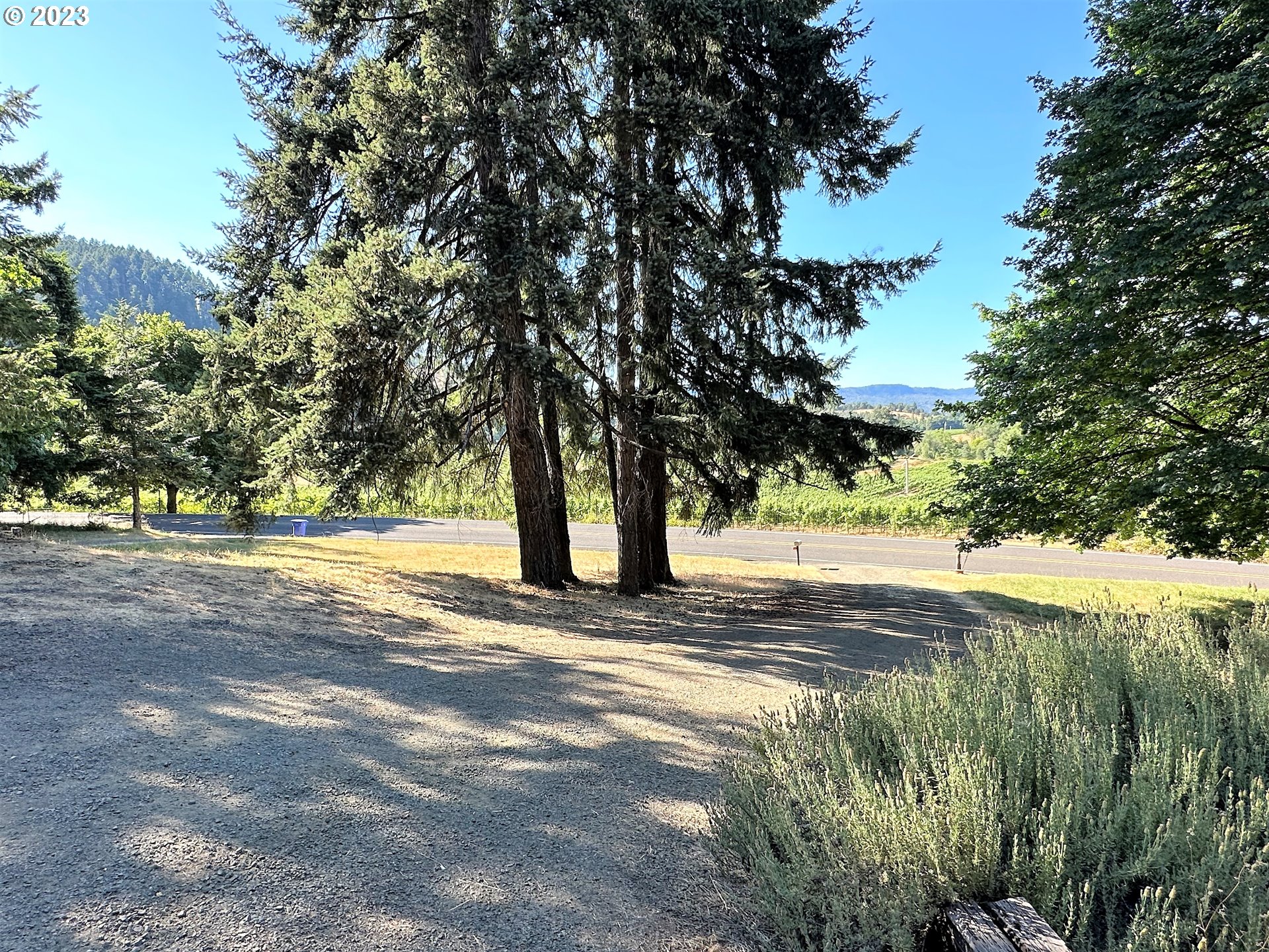 3153 Strickland Canyon Road Roseburg, OR 97471 - Photo 26 of 31 a view of a yard with plants and trees