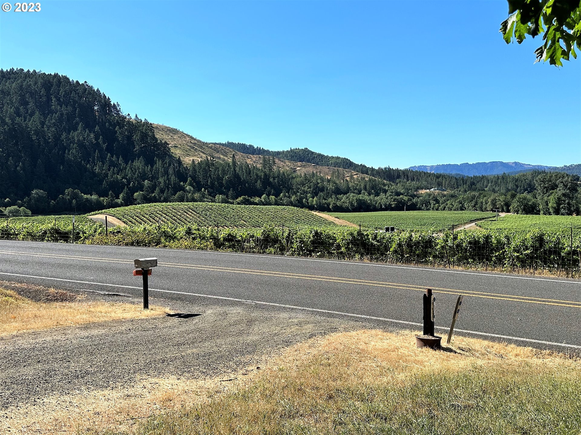 3153 Strickland Canyon Road Roseburg, OR 97471 - Photo 27 of 31 a park view with a lake view