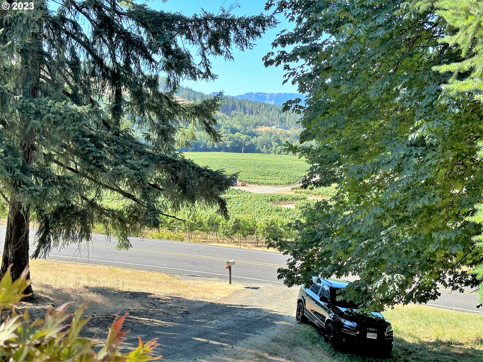 3153 Strickland Canyon Road Roseburg, OR 97471 - Photo 28 of 31 a view of a yard with a tree