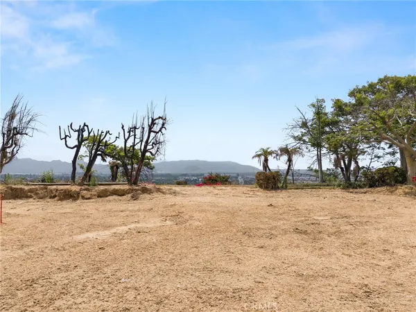 a view of dirt yard with a tree