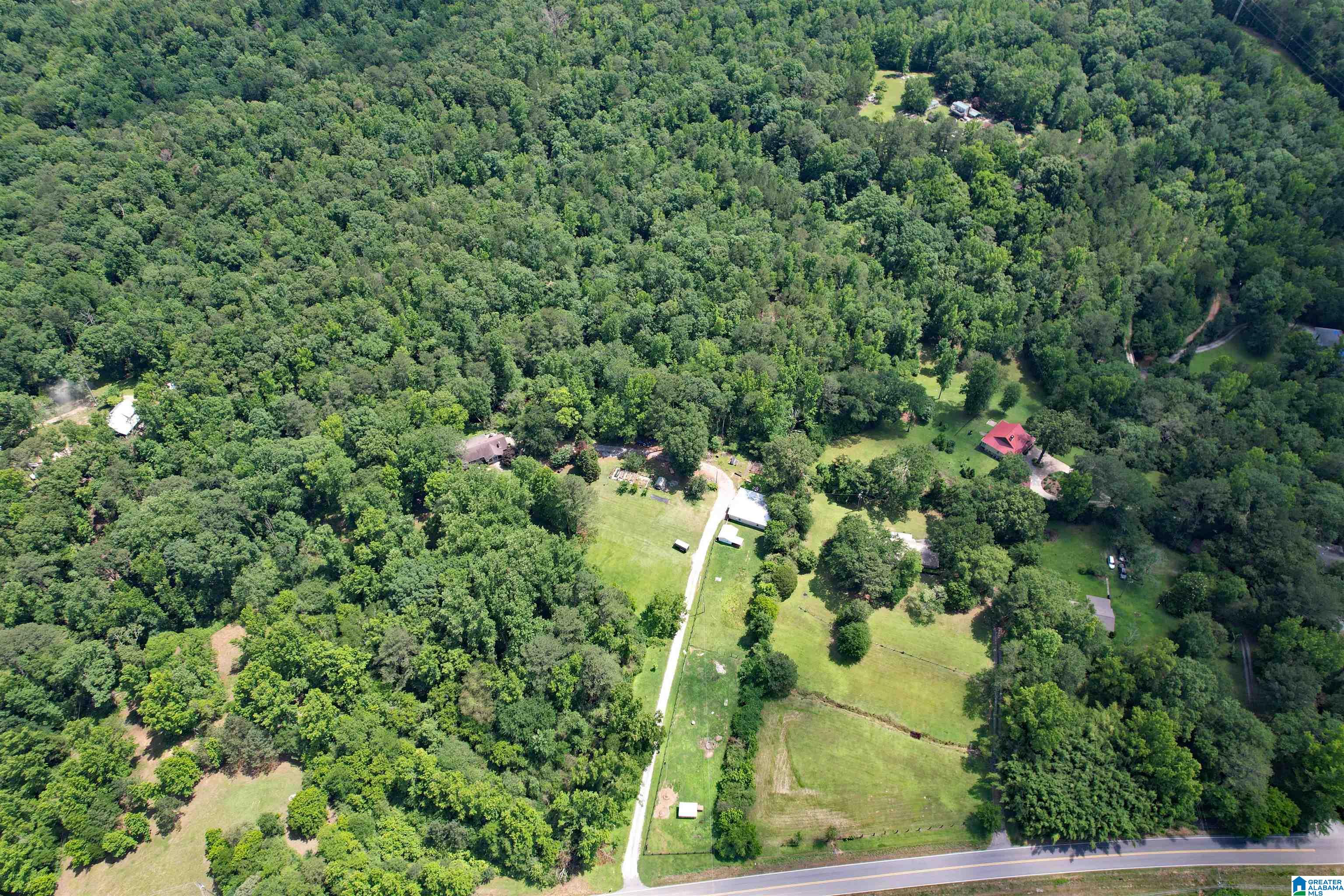 65 Winding Stair Trail Leeds, AL 35094 - Photo 52 of 54
