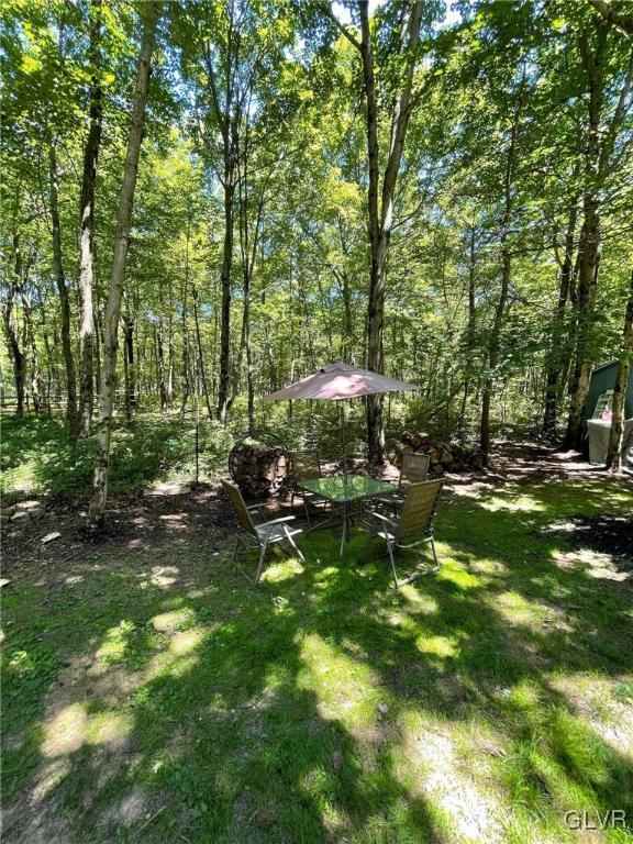 147 Panther Run Road Jim Thorpe, PA 18229 - Photo 23 of 30 Gallery Image 23