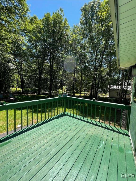 147 Panther Run Road Jim Thorpe, PA 18229 - Photo 25 of 30 Gallery Image 25