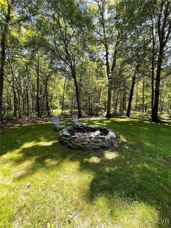 147 Panther Run Road Jim Thorpe, PA 18229 - Photo 27 of 30 Gallery Image 27