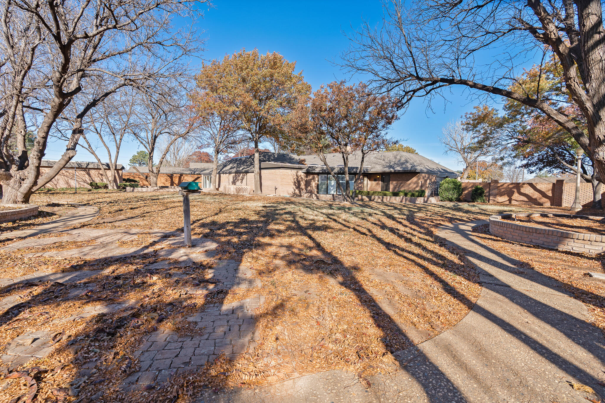 207 Yucca Terrace Plainview, TX 79072 - Photo 38 of 50 a view of a yard with large trees