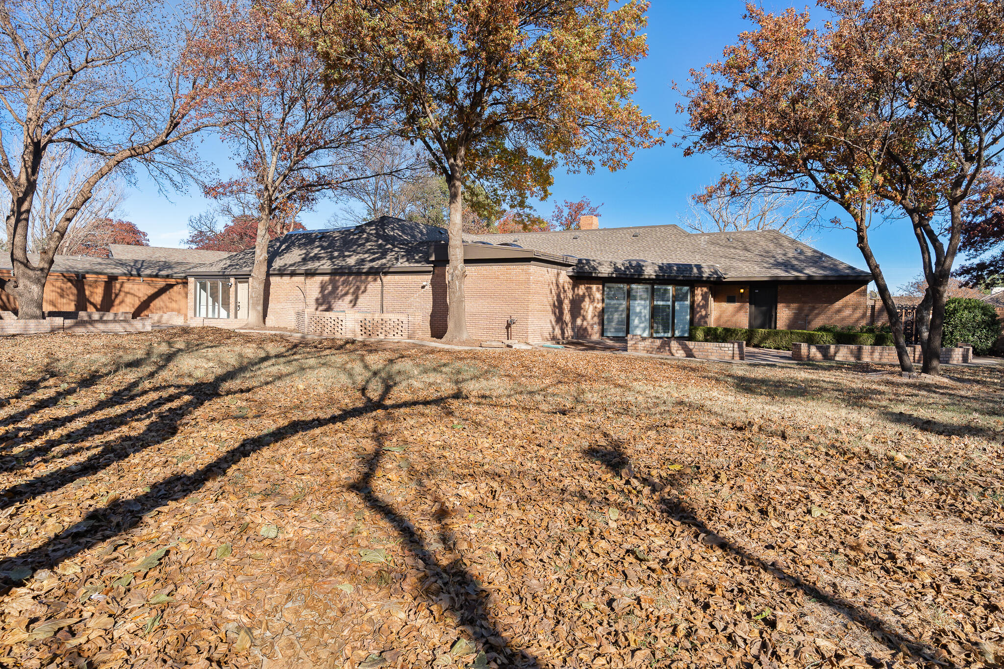 207 Yucca Terrace Plainview, TX 79072 - Photo 40 of 50 a view of a yard with a tree