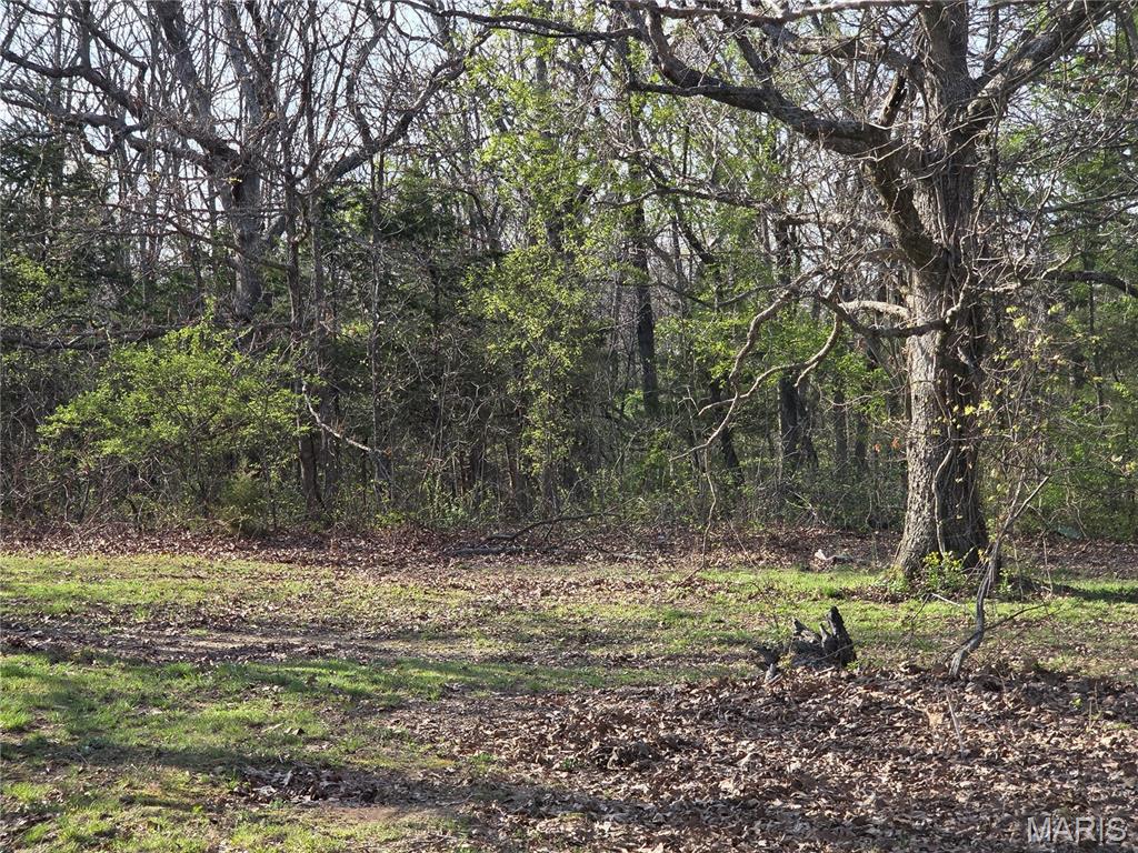 1300 Radford Road Cuba, MO 65453 - Photo 32 of 43