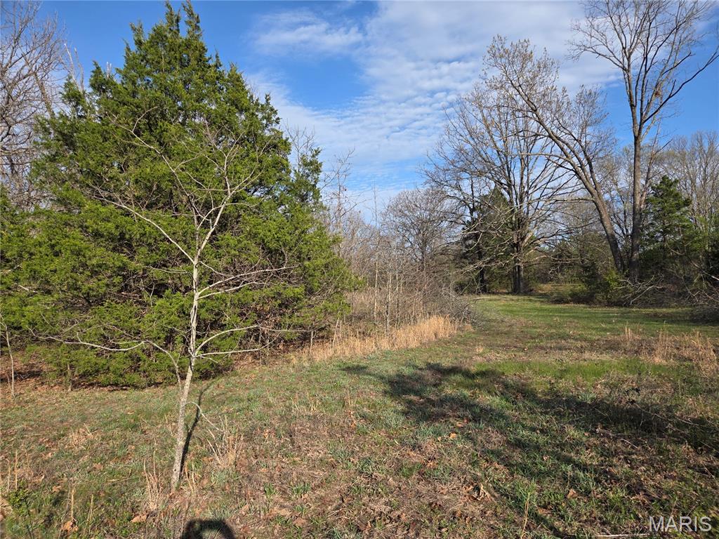 1300 Radford Road Cuba, MO 65453 - Photo 33 of 43