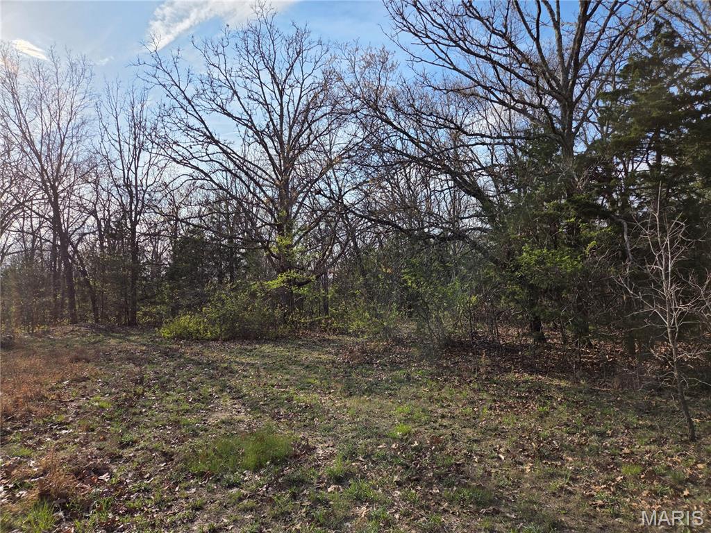 1300 Radford Road Cuba, MO 65453 - Photo 34 of 43