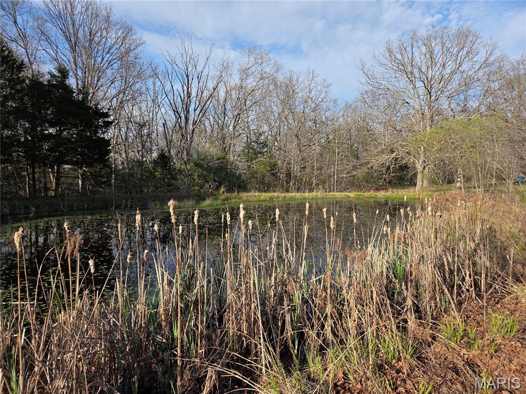 1300 Radford Road Cuba, MO 65453 - Photo 35 of 43