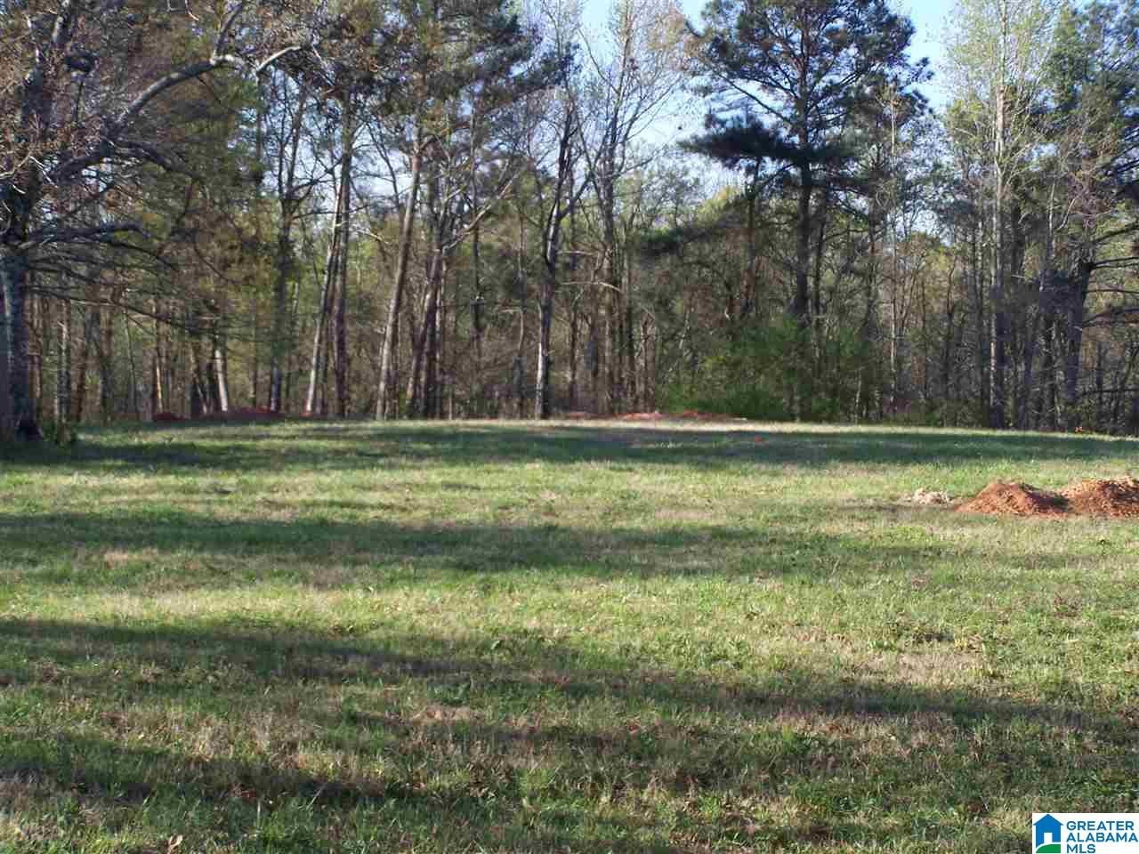 2768 Graves Gap Road Hayden, AL 35079 - Photo 1 of 2