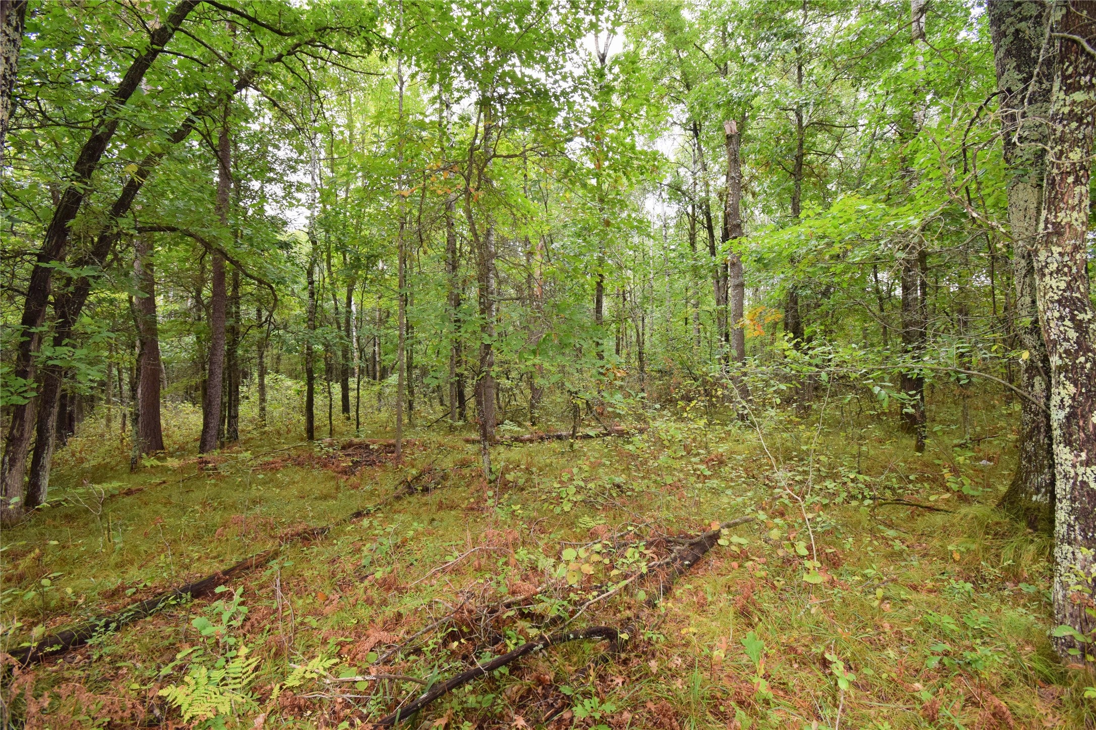 W9444 Dock Lake Road Spooner, WI 54801 - Photo 50 of 52 Gallery Image 50