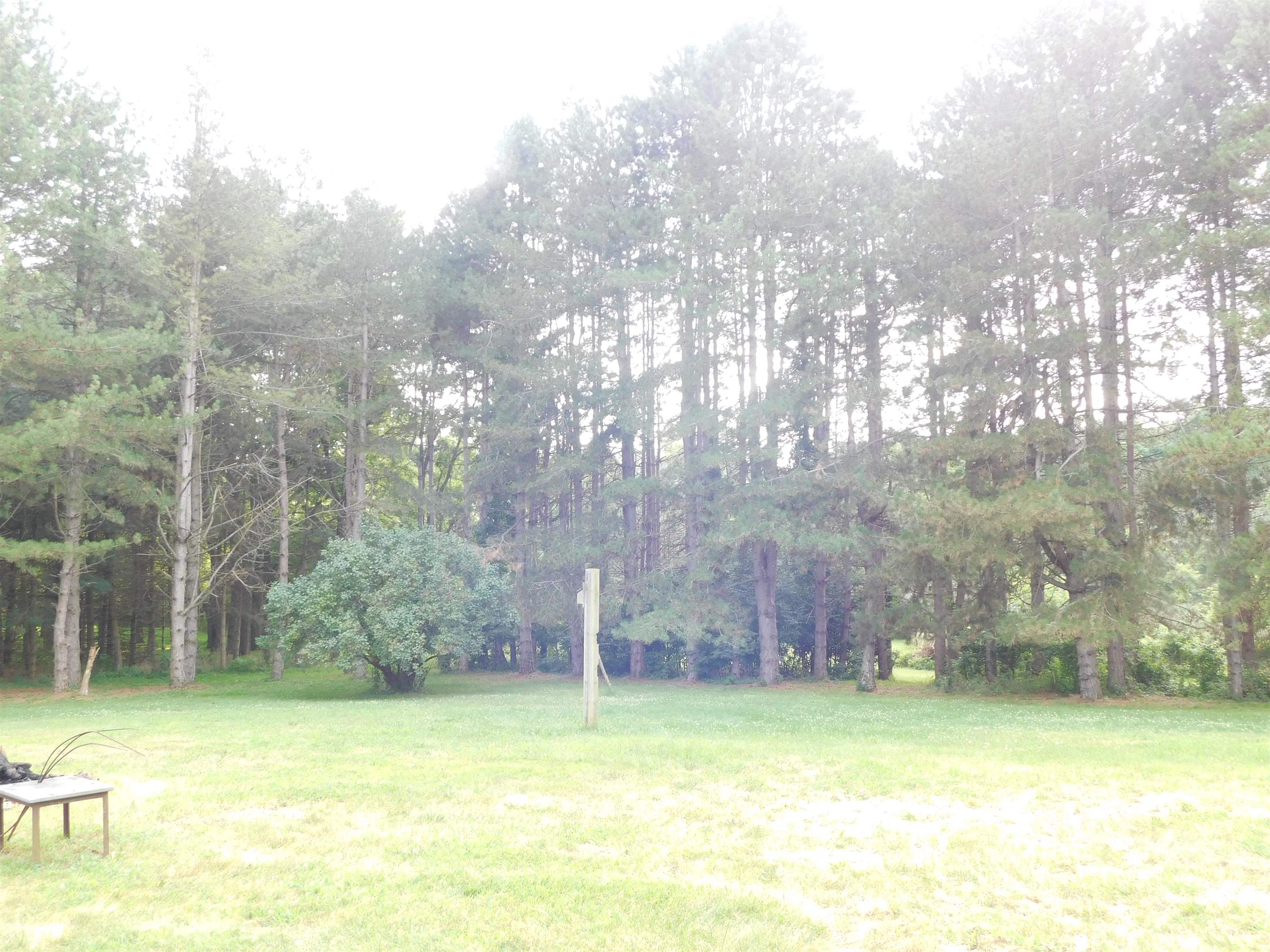 4798 Rochester Road Dryden, MI 48428 - Photo 26 of 28 Yard View