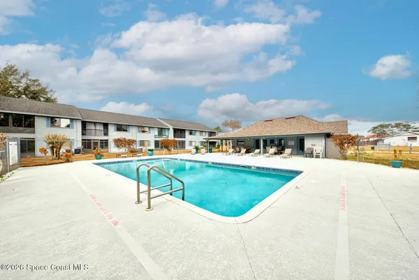 a street view with large trees