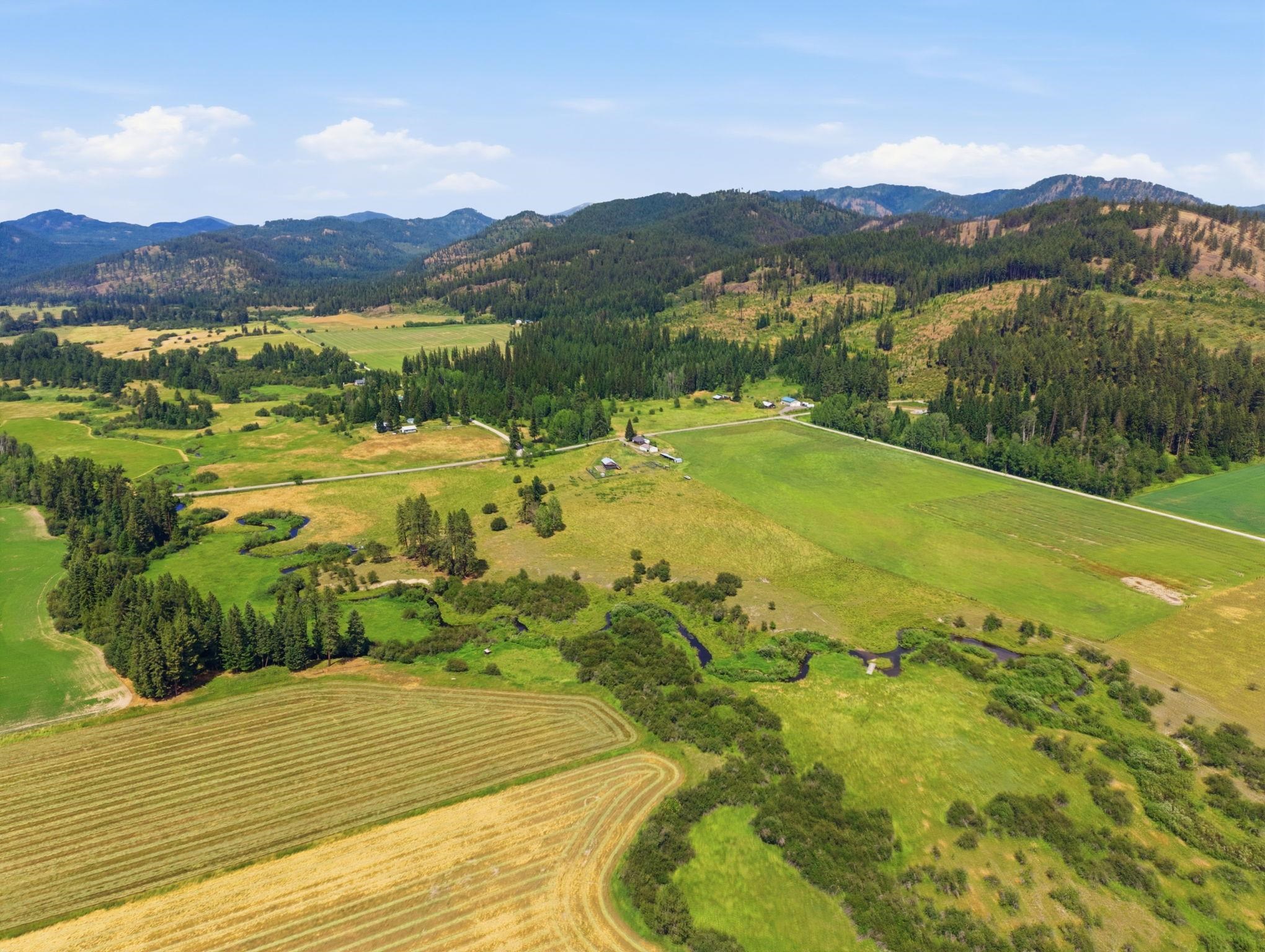 942 Berry Road Usk, WA 99180 - Photo 4 of 35