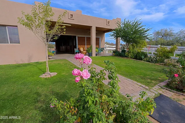 a front view of a house with a big yard and a large tree