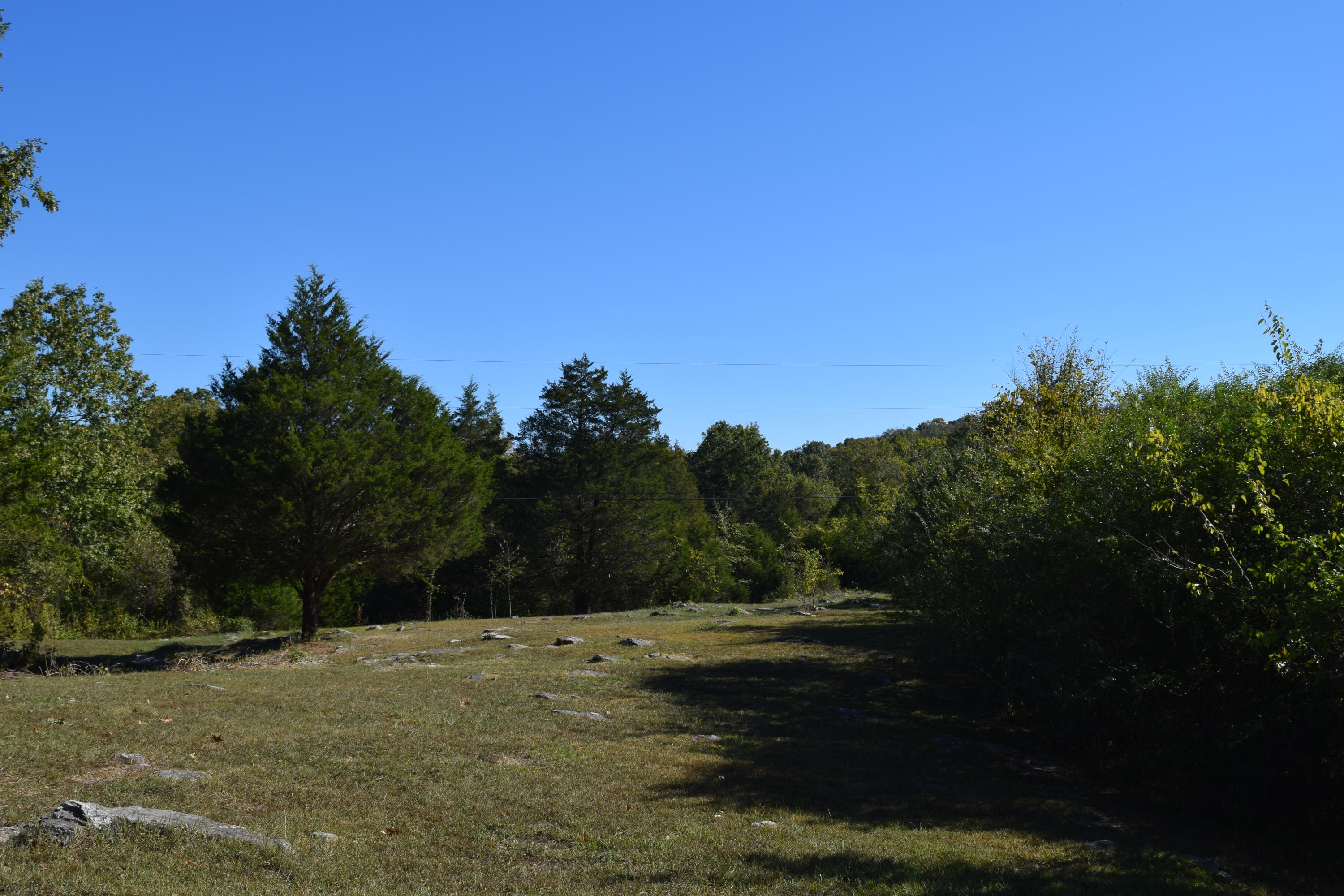 0 Rocky Flat Road Rutledge, TN 37861 - Photo 1 of 12 DSC_0791