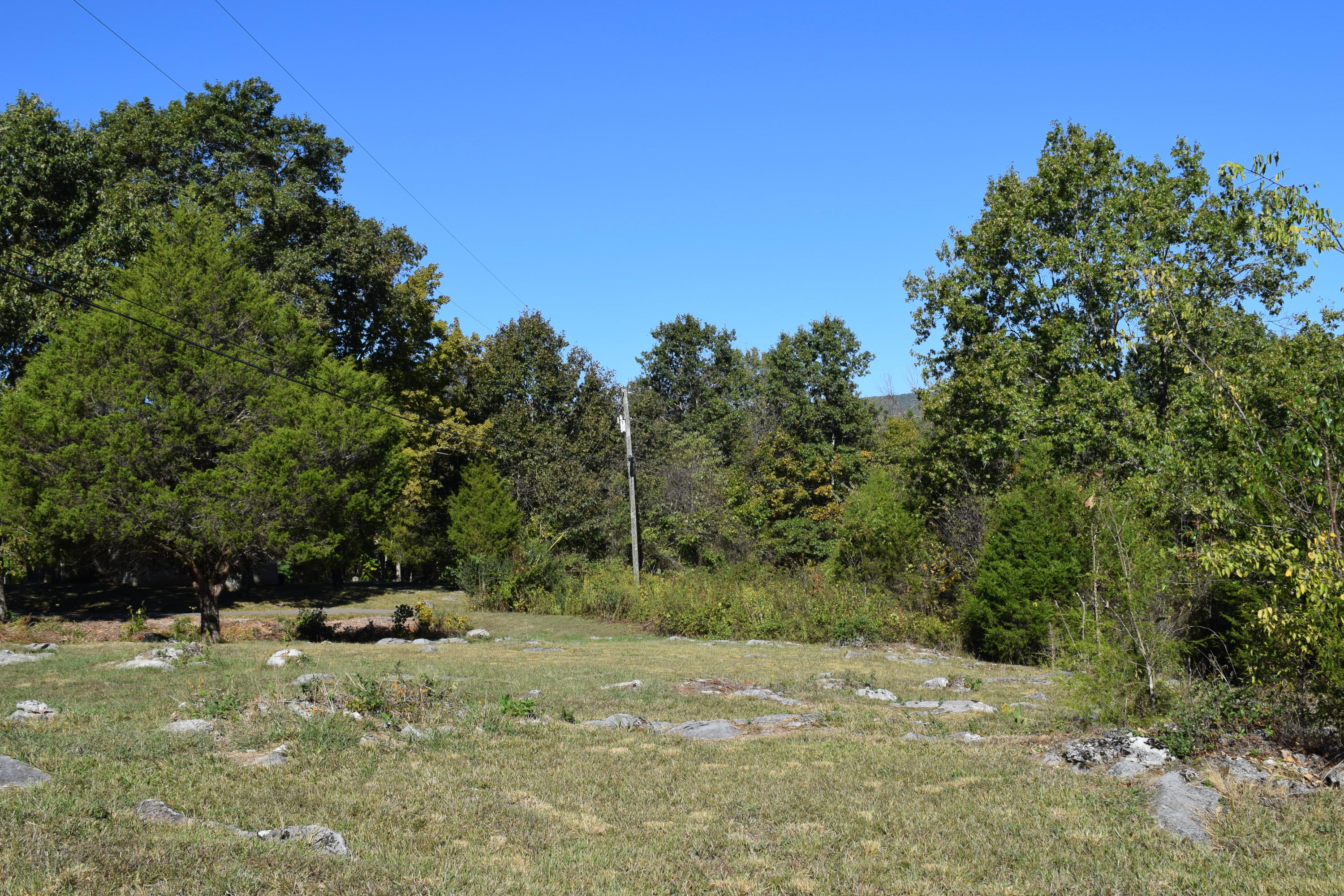 0 Rocky Flat Road Rutledge, TN 37861 - Photo 2 of 12 DSC_0792