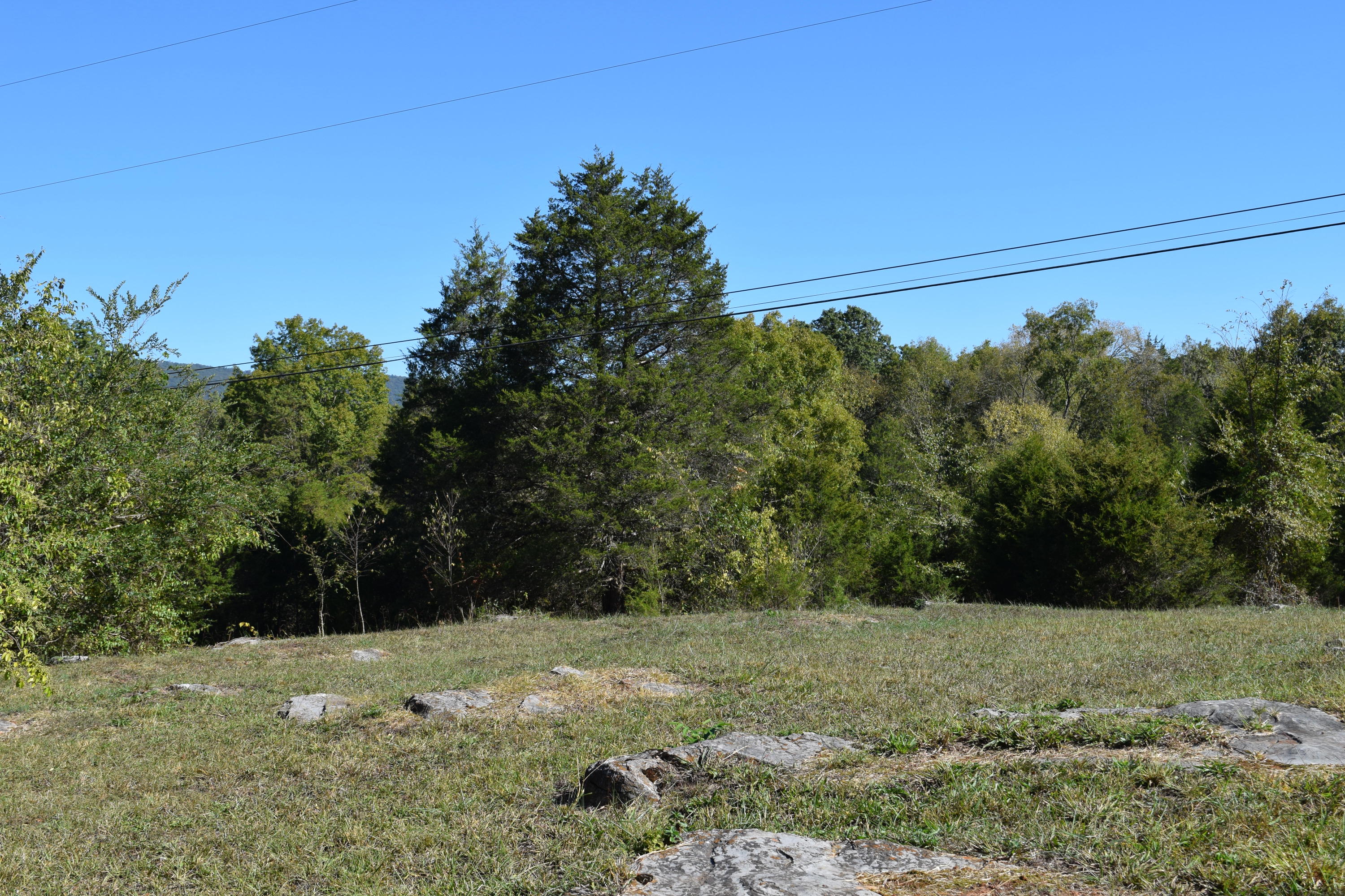 0 Rocky Flat Road Rutledge, TN 37861 - Photo 11 of 12 DSC_0801