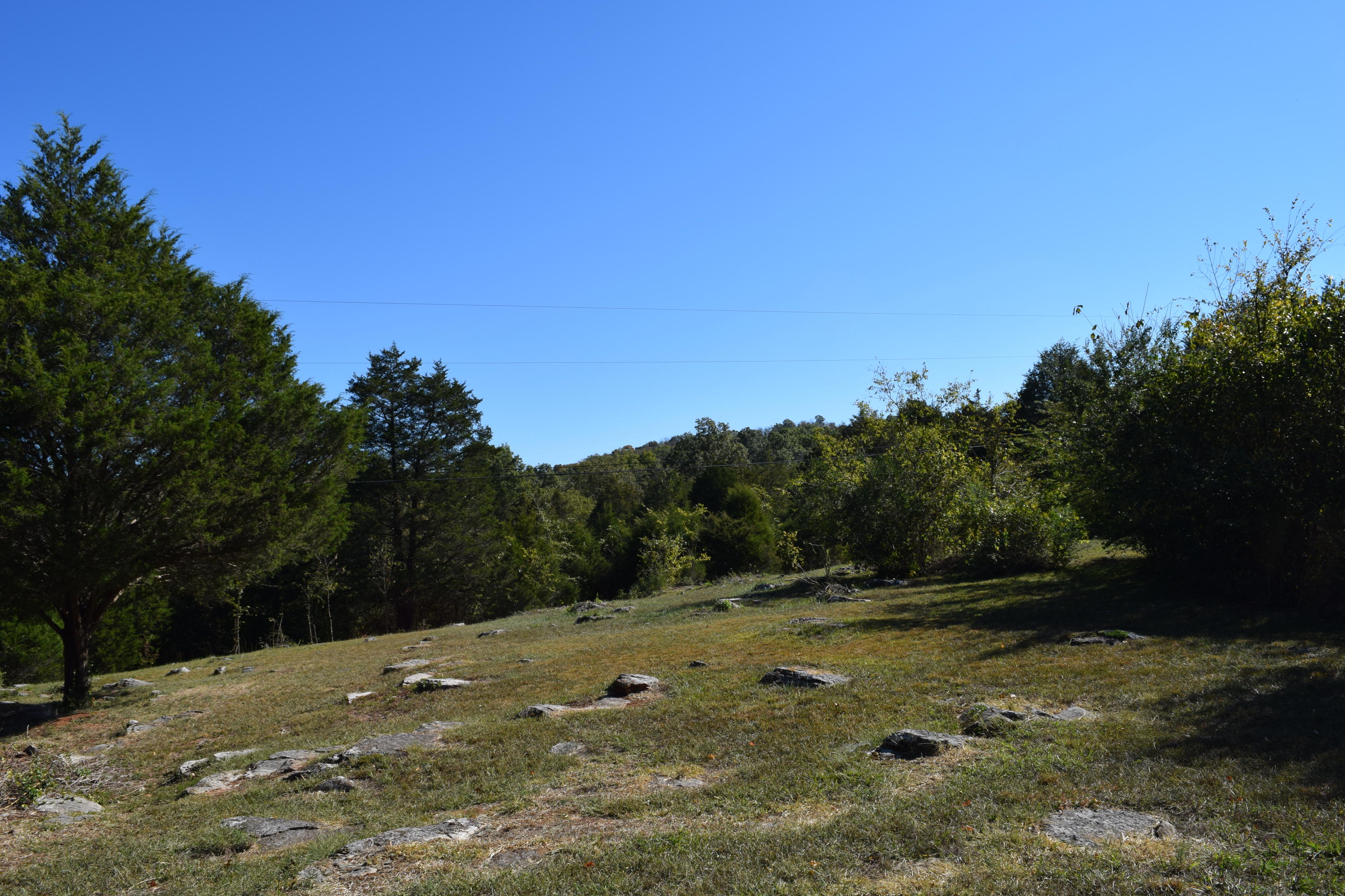 0 Rocky Flat Road Rutledge, TN 37861 - Photo 12 of 12 DSC_0802