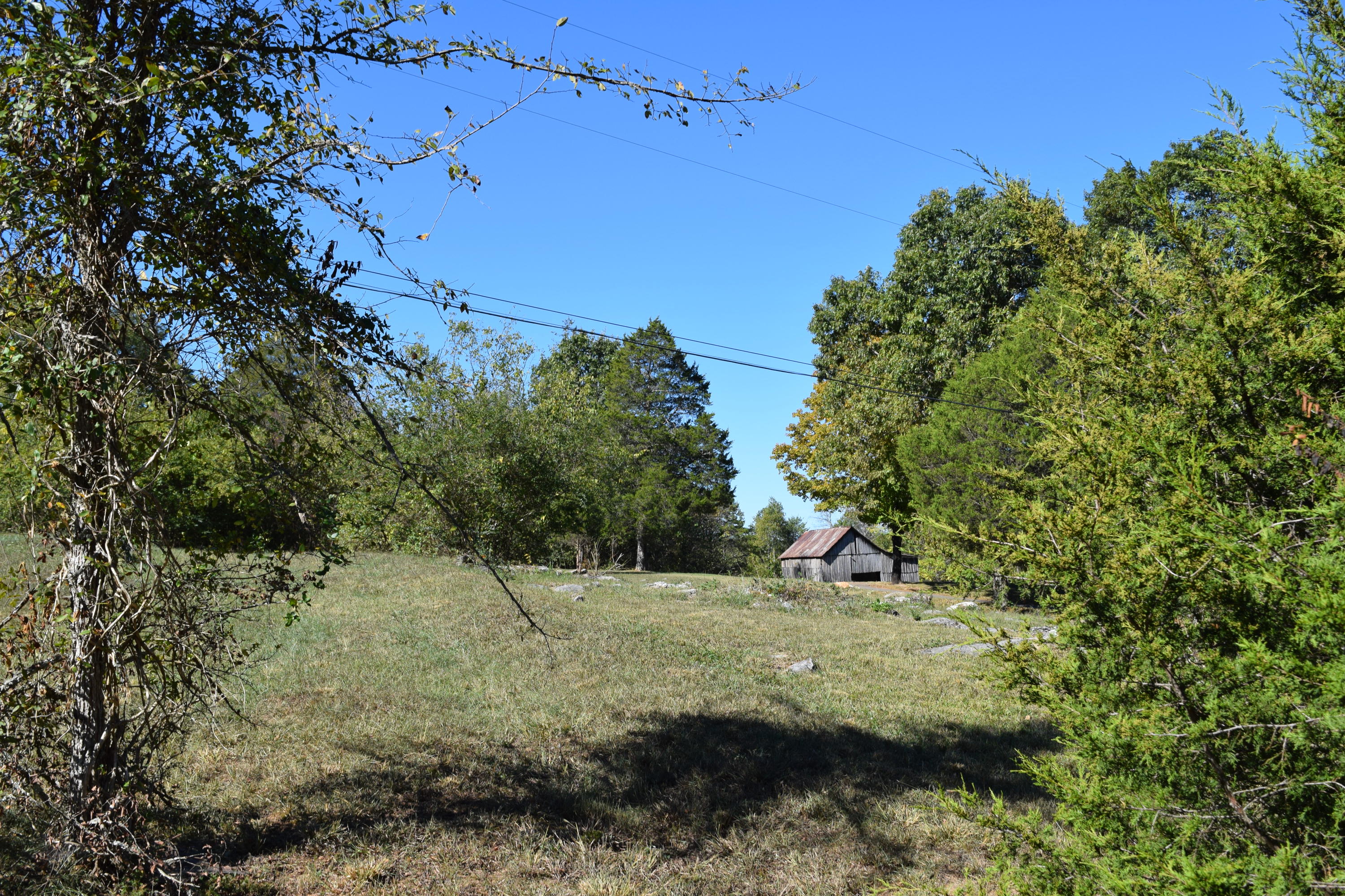 0 Rocky Flat Road Rutledge, TN 37861 - Photo 5 of 12 DSC_0795