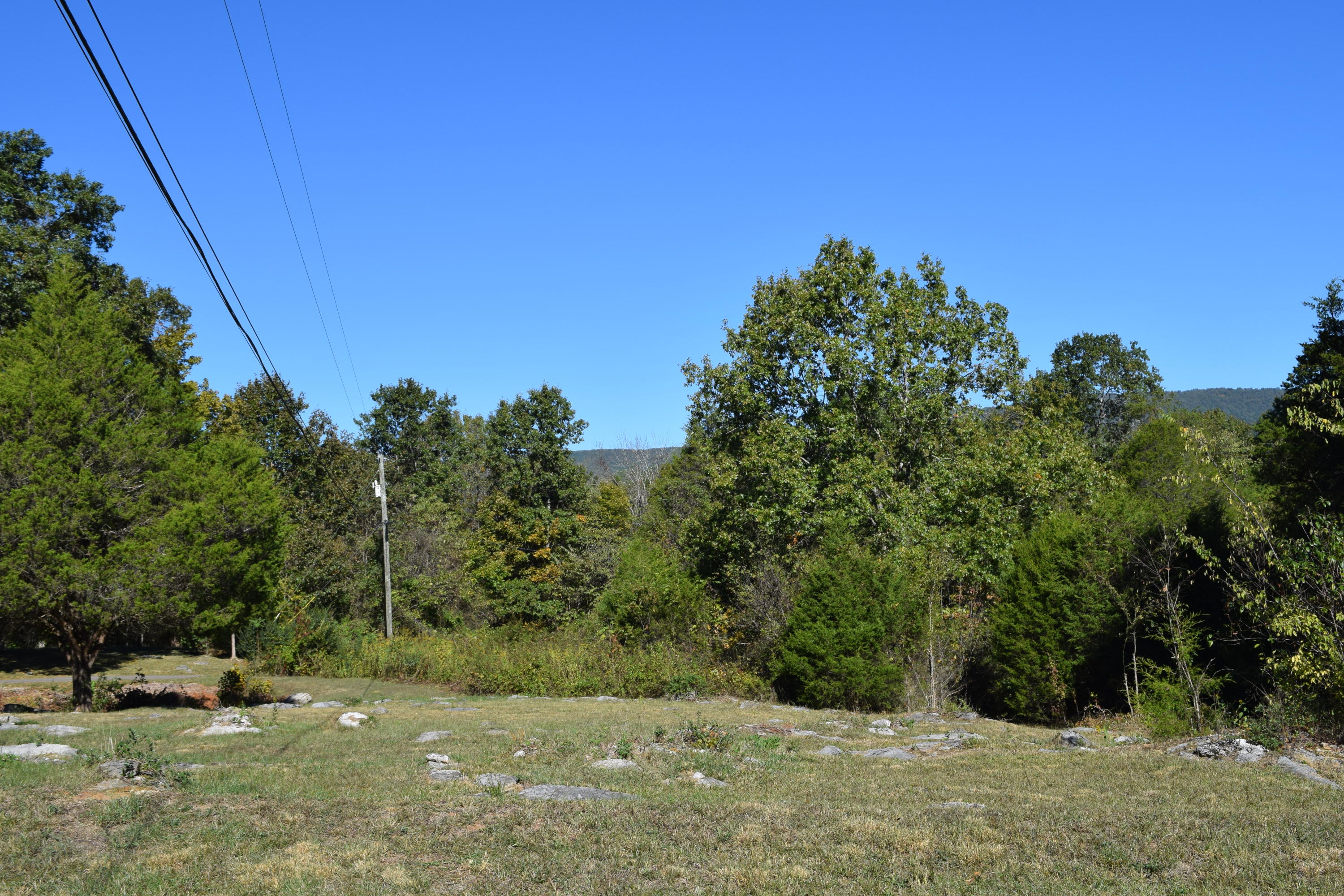 0 Rocky Flat Road Rutledge, TN 37861 - Photo 7 of 12 DSC_0797