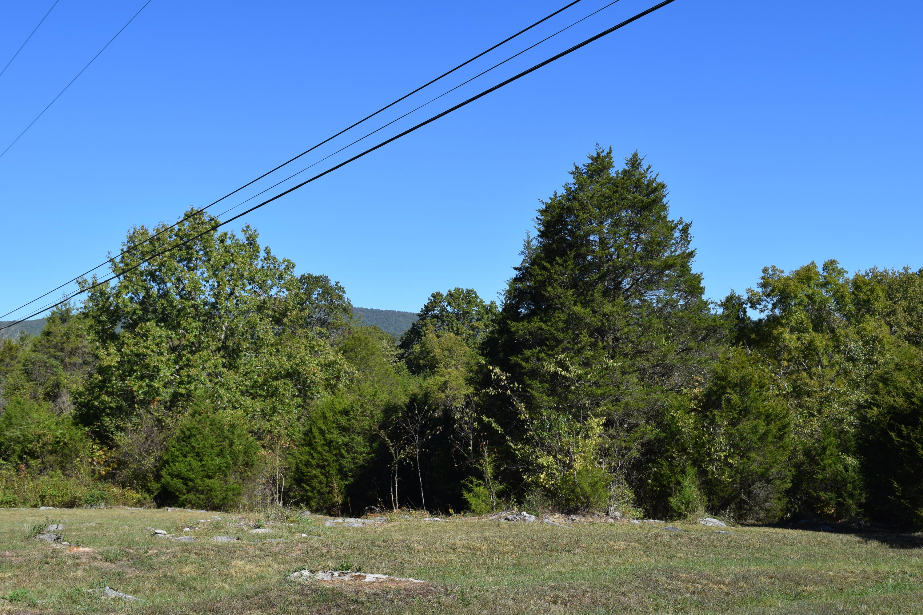 0 Rocky Flat Road Rutledge, TN 37861 - Photo 8 of 12 DSC_0798