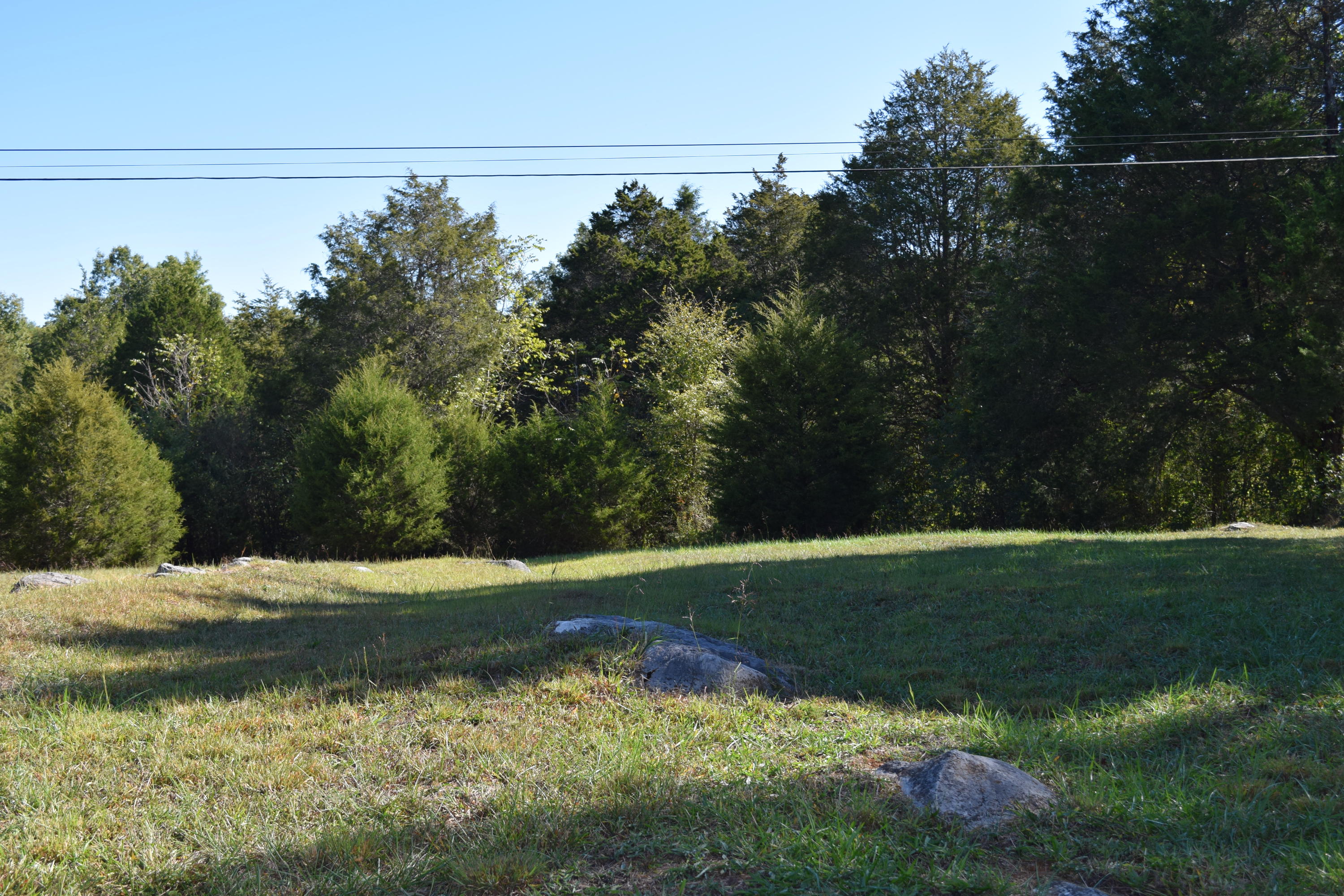 0 Rocky Flat Road Rutledge, TN 37861 - Photo 10 of 12 DSC_0800