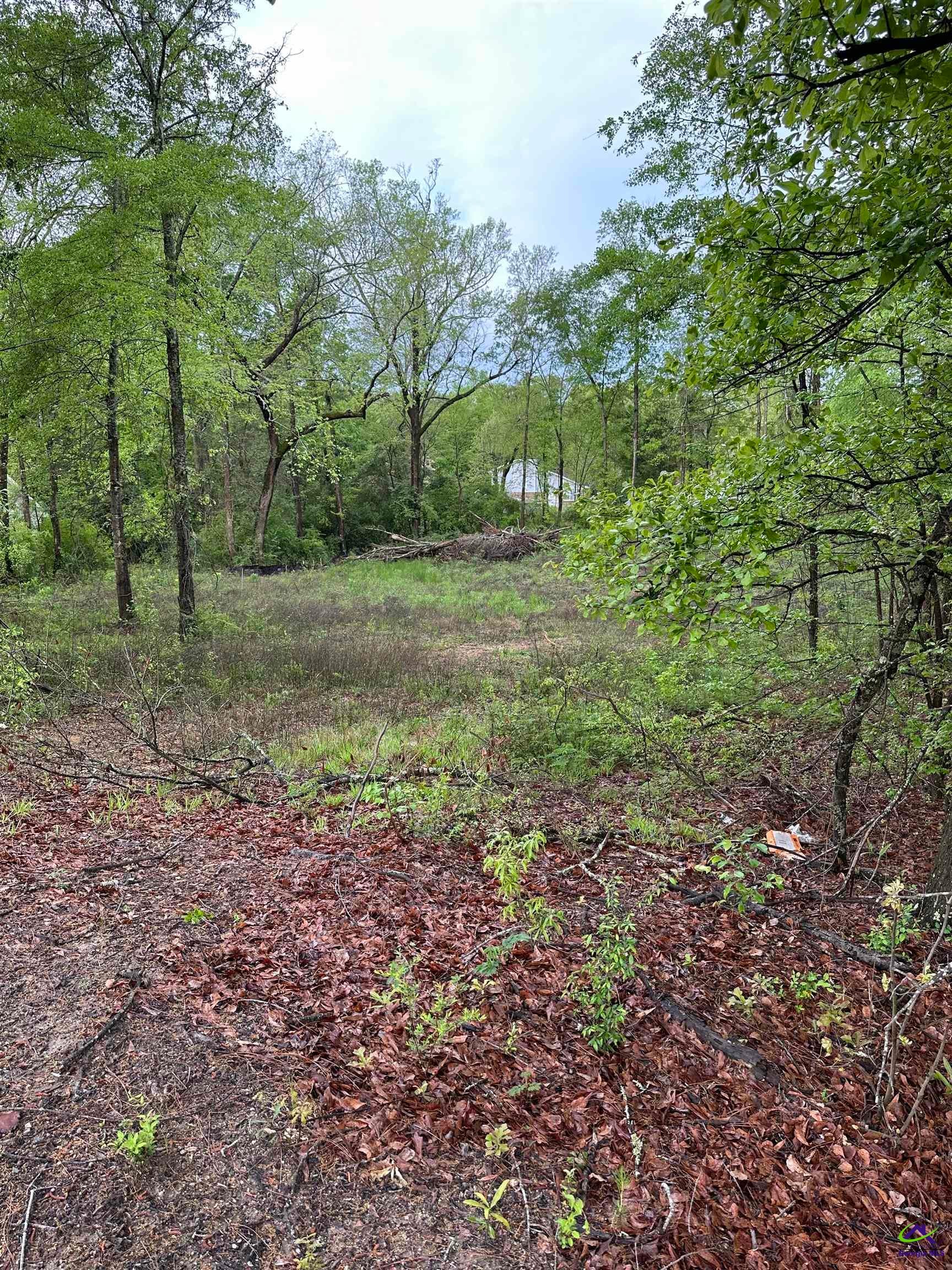 7515 Goodall Mill Road Macon, GA 31216 - Photo 3 of 4 Gallery Image 3