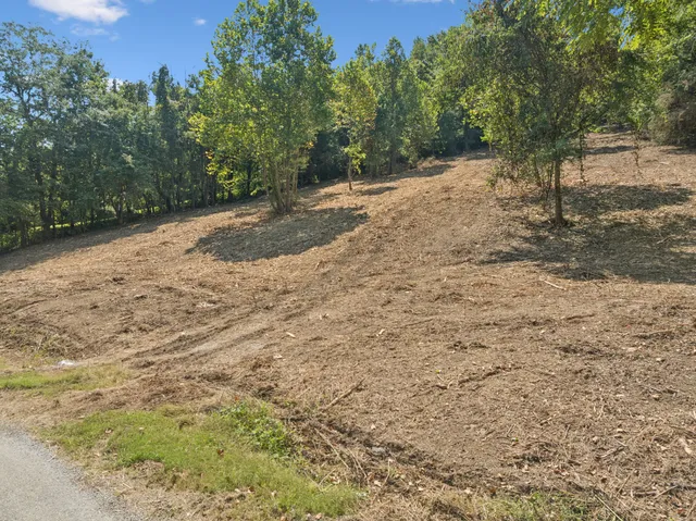 a view of a yard with trees in the background