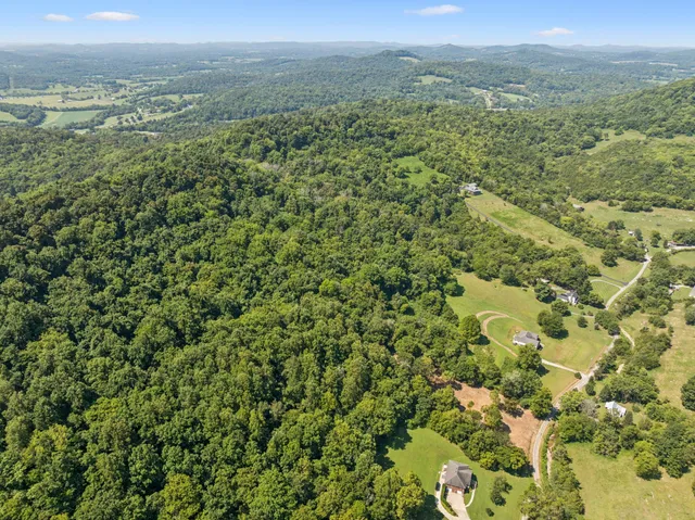 a view of a lush green field