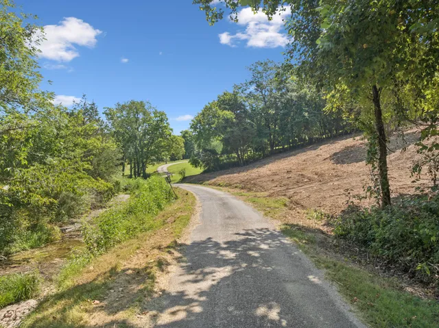 a view of a yard with trees in the background