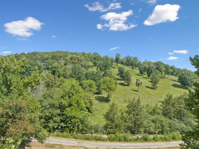 a view of a big yard with lots of green space