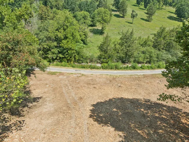 a view of a yard with a tree