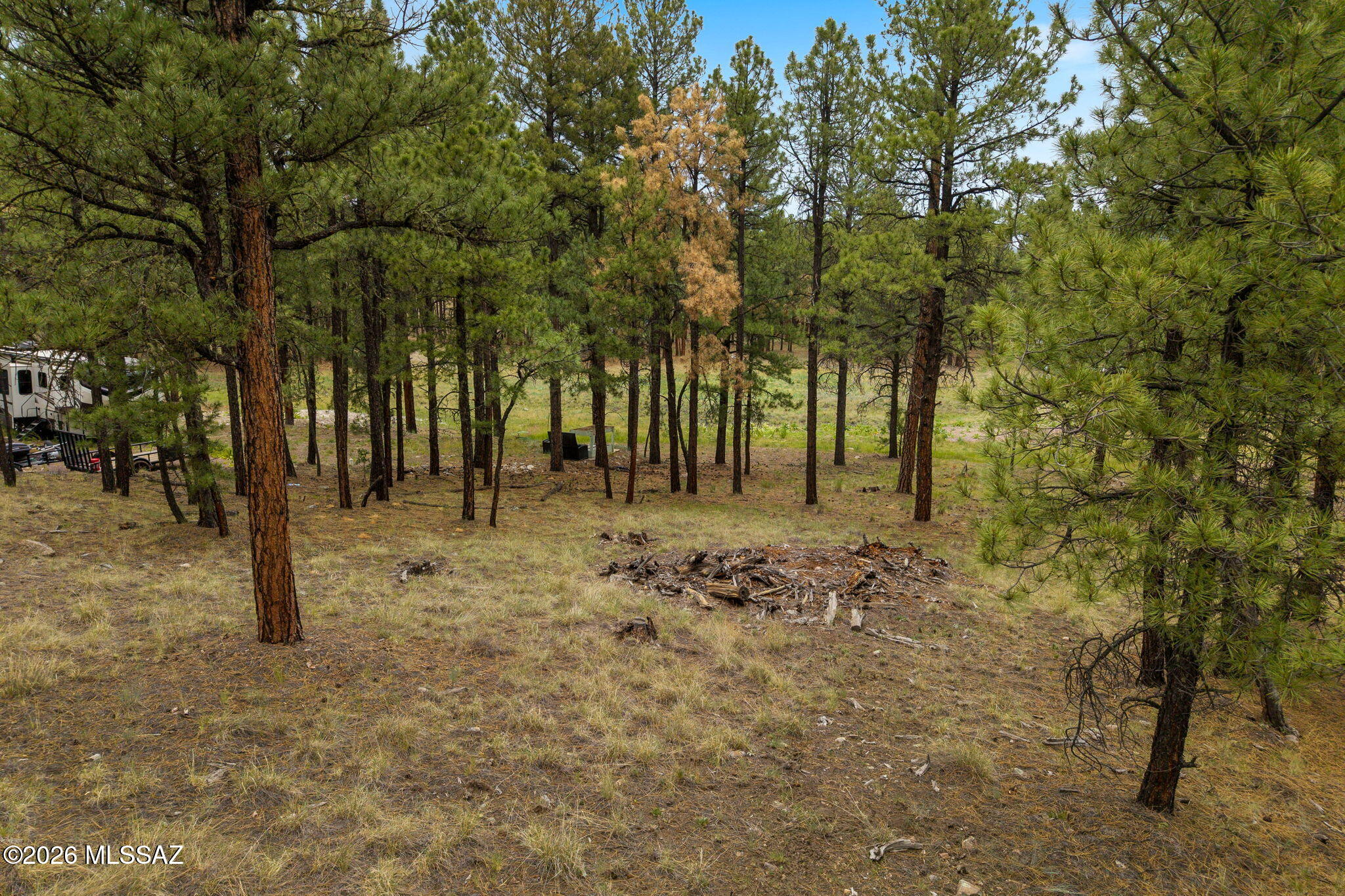 2121 Alpine Az 85920 Alpine, AZ 85920 - Photo 3 of 19