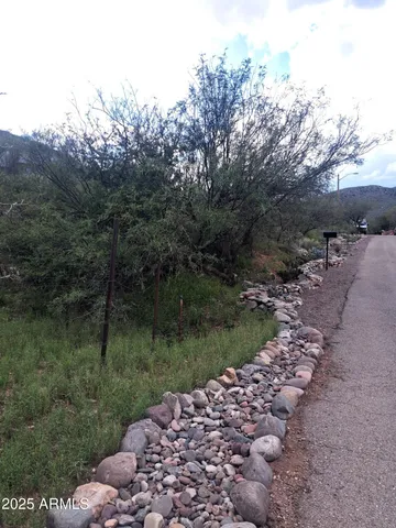 a view of a street with lots of trees