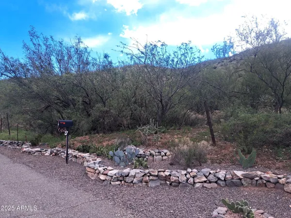 a view of a road with a yard