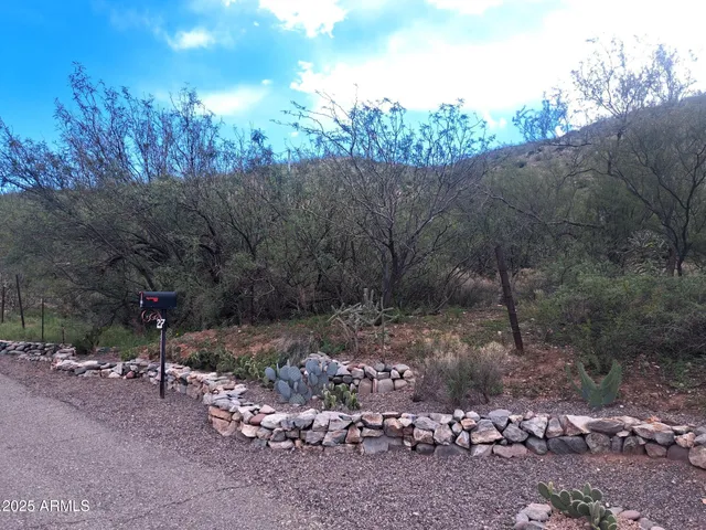 a view of a road with a yard