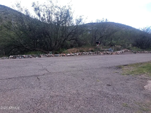 a view of outdoor space and tree