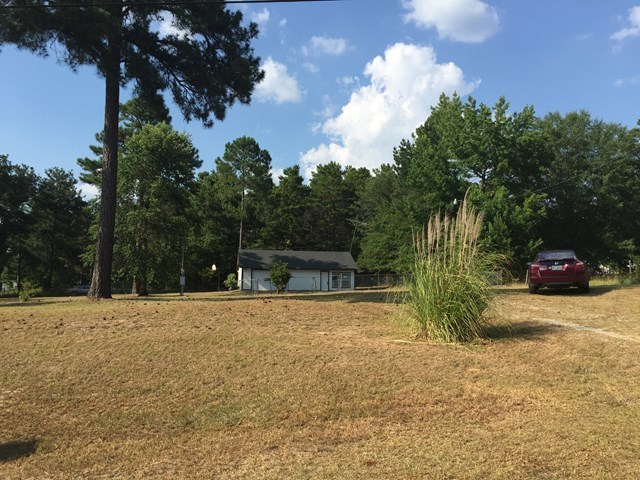 296 Juniper Creek Road Byron, GA 31008 - Photo 16 of 22 a view of a yard with palm tree