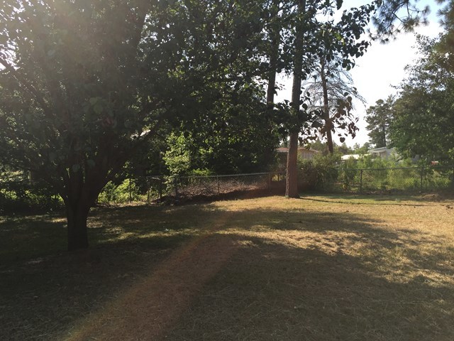 296 Juniper Creek Road Byron, GA 31008 - Photo 19 of 22 a view of road and trees