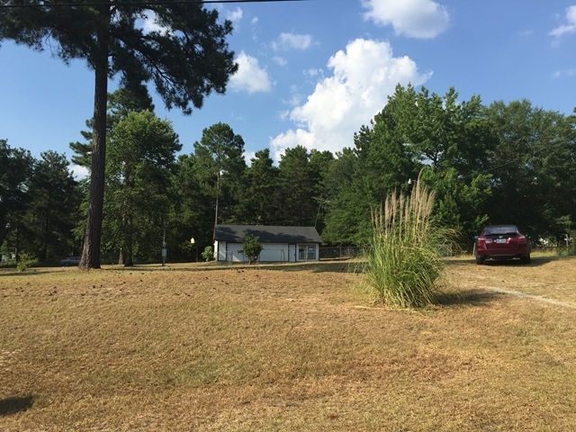 296 Juniper Creek Road Byron, GA 31008 - Photo 6 of 22 a view of a yard with palm tree
