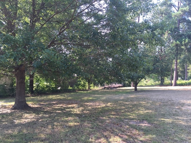 296 Juniper Creek Road Byron, GA 31008 - Photo 7 of 22 a view of a yard with a tree