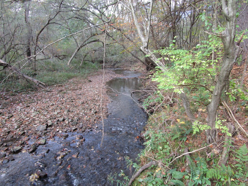 0 South Reidsburg Road Sligo, PA 16255 - Photo 3 of 9