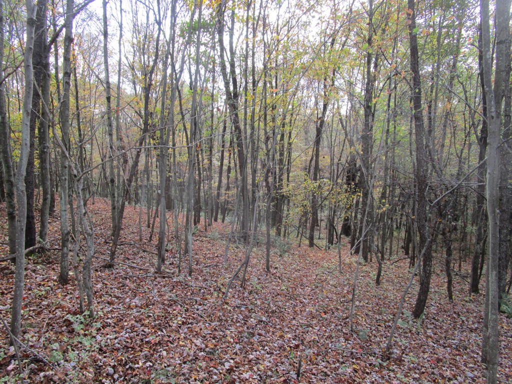 0 South Reidsburg Road Sligo, PA 16255 - Photo 4 of 9